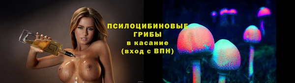 стафф Арсеньев
