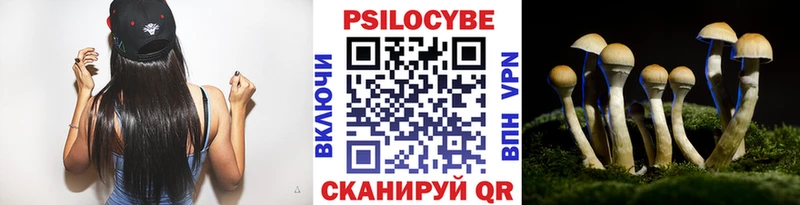 Галлюциногенные грибы GOLDEN TEACHER Берёзовский